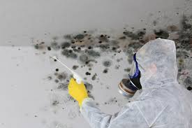 Reliable Konawa, OK Mold Inspection Solutions